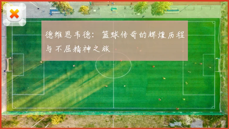 德维恩韦德：篮球传奇的辉煌历程与不屈精神之旅