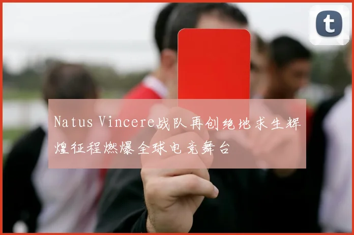 Natus Vincere战队再创绝地求生辉煌征程燃爆全球电竞舞台