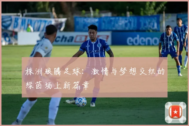 株洲狼腾足球：激情与梦想交织的绿茵场上新篇章