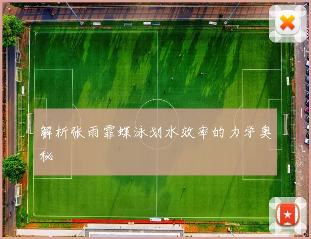 解析张雨霏蝶泳划水效率的力学奥秘