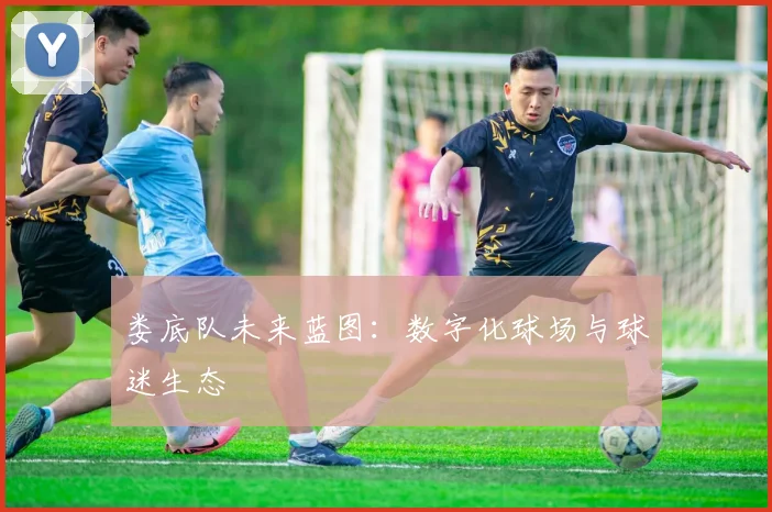娄底队未来蓝图：数字化球场与球迷生态
