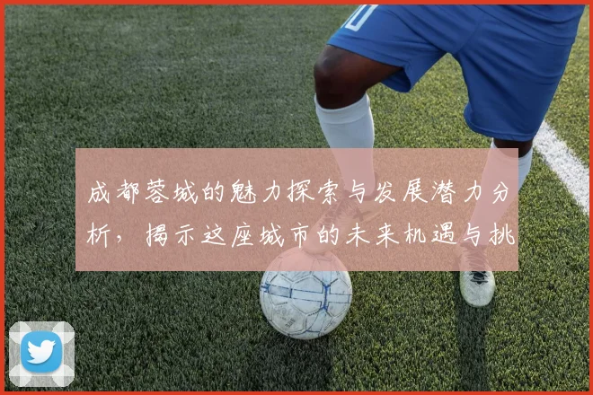 成都蓉城的魅力探索与发展潜力分析，揭示这座城市的未来机遇与挑战