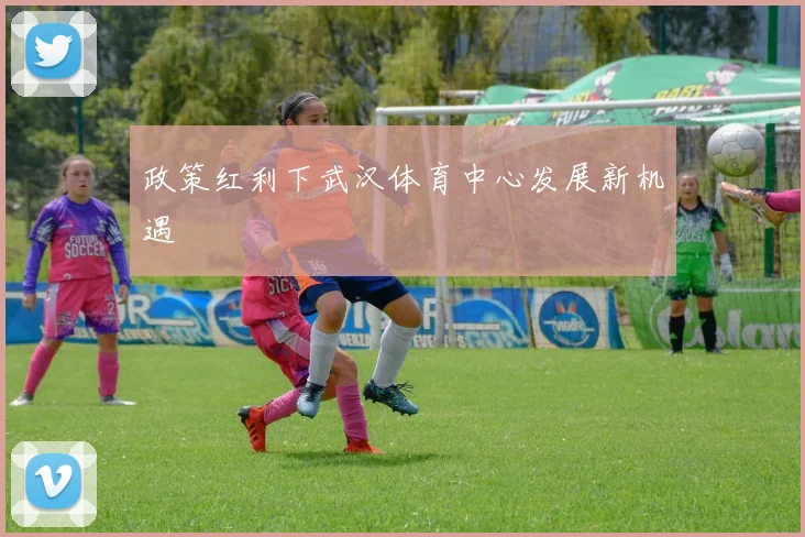 政策红利下武汉体育中心发展新机遇