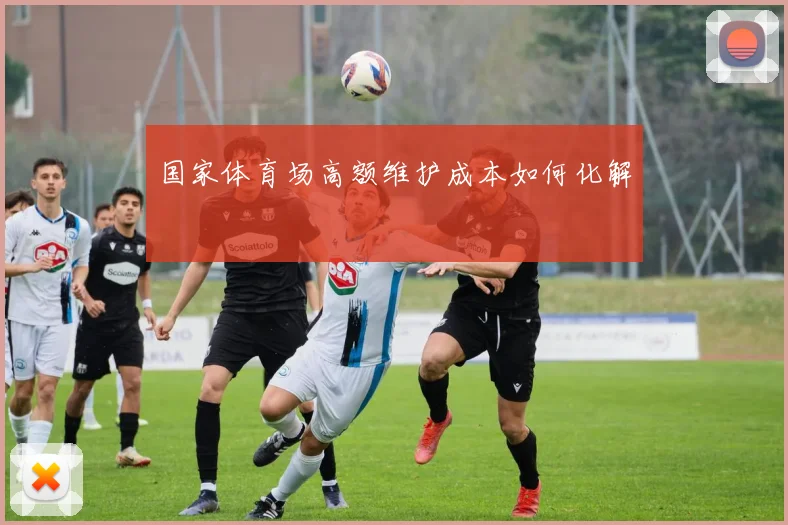 国家体育场高额维护成本如何化解