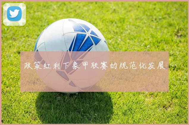 政策红利下象甲联赛的规范化发展