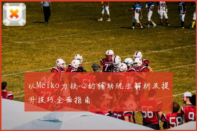 以Meiko为核心的辅助玩法解析及提升技巧全面指南
